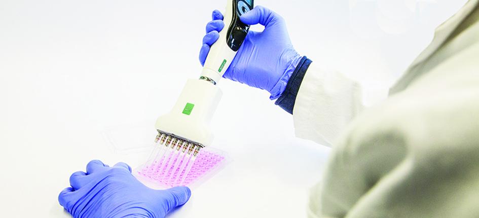 insphero establishes consortium pharmaceutical giants