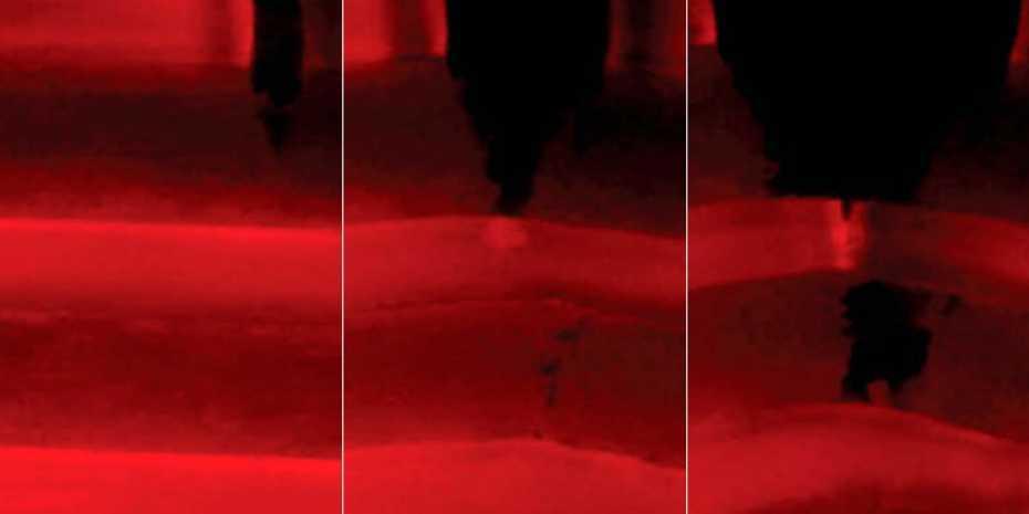 Changes in colour indicate deformations