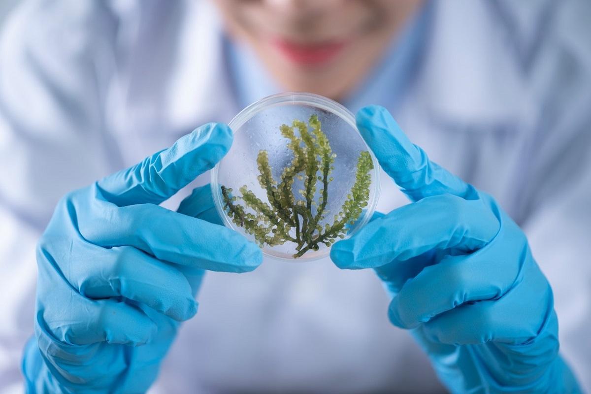 SUPSI presents new institute microbiology