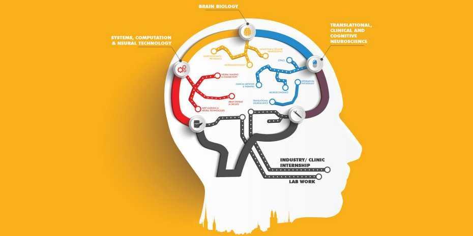 Zurich universities offer new degree in brain sciences