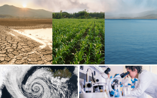 SUPSI opens new competence center for climate change