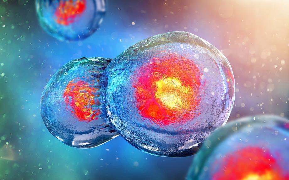 Cells are far more intelligent than previously thought