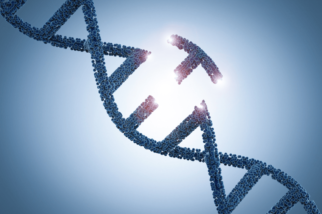 UZH researchers develop method for transport of large genes