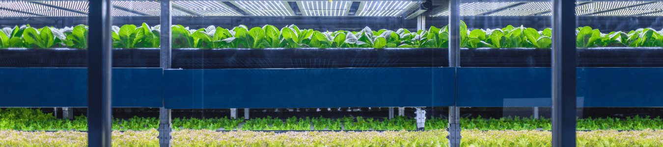 FoodTech ecosystem in the Greater Zurich Area