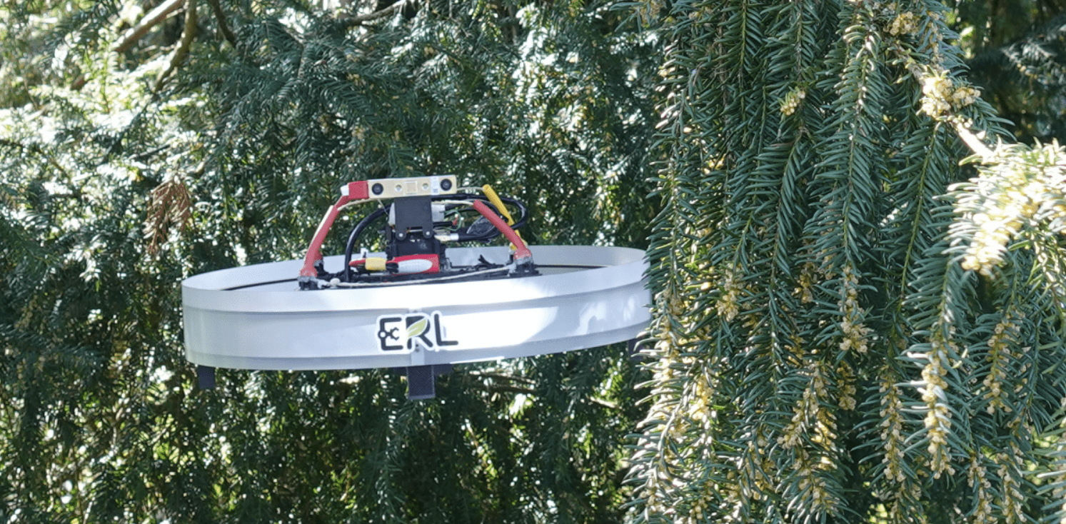 Drones navigate even dense forest 