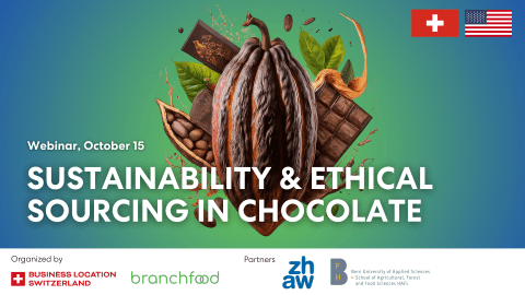 Sustainability and ethical sourcing in chocolate